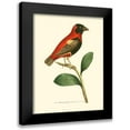 thumbnail image 1 of Nodder, Frederick P. 19x24 Black Modern Framed Museum Art Print Titled - Crimson Birds I, 1 of 5