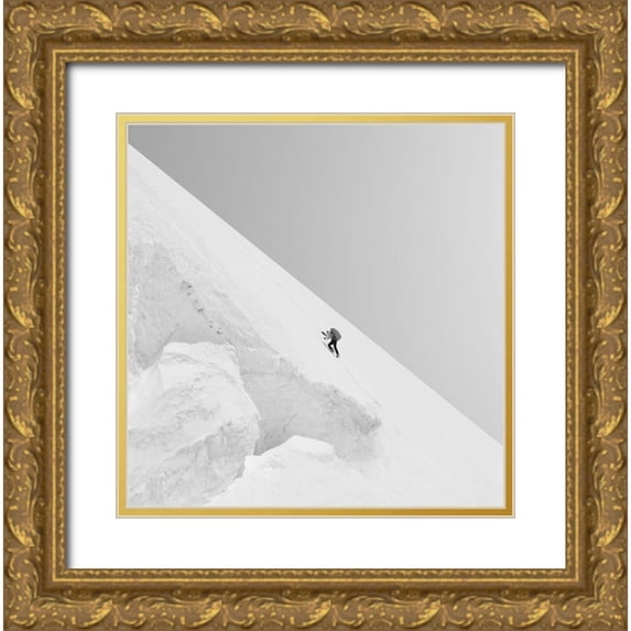 Nodeh, Mostafa 12x12 Gold Ornate Wood Framed with Double Matting Museum Art Print Titled - Effort
