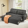 thumbnail image 1 of Noelse 58" Sleeper Sofa Bed, Pull-Out Couch with Adjustable Backrest and Side Pocket for Living Room, Dark Gray, 1 of 7