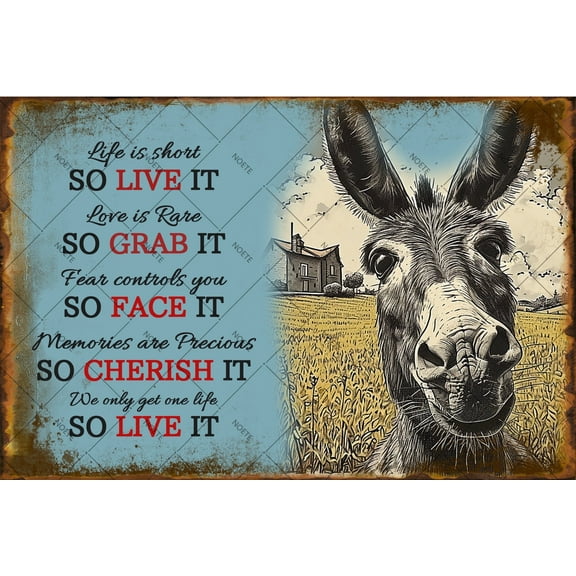 Noete 12x16 Inch Vintage Donkey Metal Tin Signs Rustic Wall Art Decor for Home, Living Room, Bedroom, Office, Garage & Garden