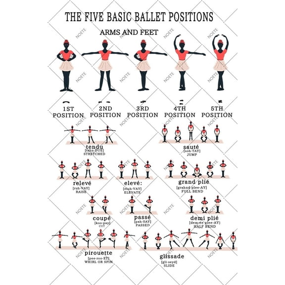 Noete Ballet Stuff Tin Sign 8x12 Inch Retro Ballet Knowledge Poster with Basic Movements, Perfect for Studio, Classroom & Home Wall Decor
