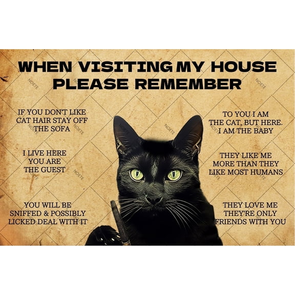 Noete Cat Metal Tin Sign Vintage 8x12 Inch Wall Decor with Playful Feline Artwork, Durable Tinplate Sign for Home, Office, Bar & Cafe