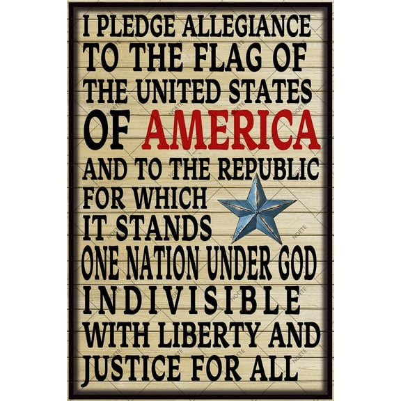 Noete Declaration of Independence Sign Patriotic Tin Sign 12x16 Inch, Inspirational Home Decor for Office, Man Cave, Bedroom, Bar & Store Declaration of Independence Sign