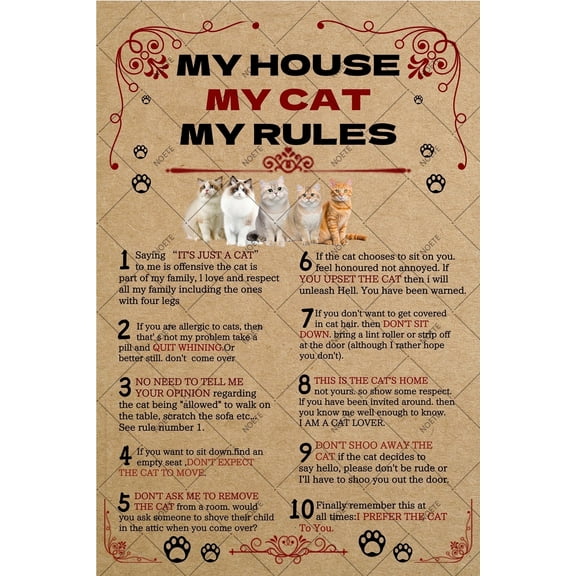 Noete My House My Cat My Rules Metal Tin Sign Vintage Cat Lover Wall Art Decor, 8x12 Inch Rustic Tinplate Sign for Home, Office, Bar & Cafe