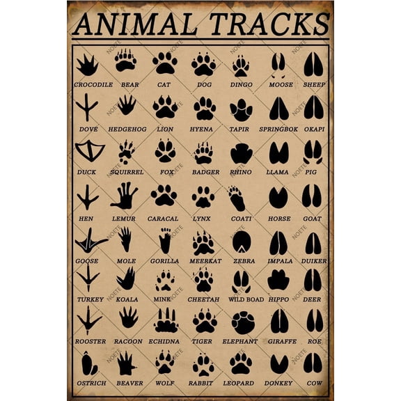 Noete Animal Tracks Metal Sign Vintage 12x16 Inch Retro Tin Sign for Wall Decor, Perfect Gift for Animal Lovers, Woodland Nursery, Cabin, or Bathroom