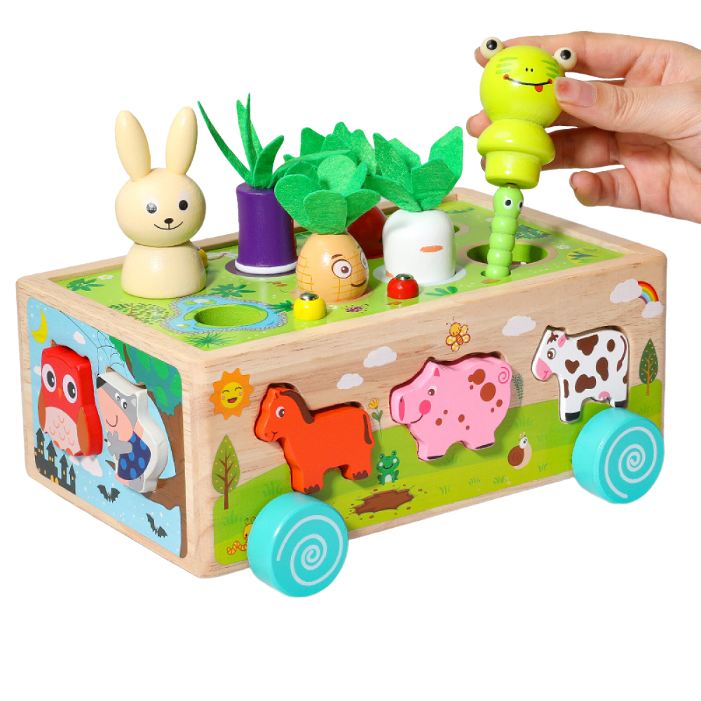 Noetoy Wooden Farm Shape Sorting Fishing Game Educational Toys for Toddlers to