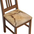 Noewx Stone Seat Covers for Dining Room Chair Stretch Removable Kitchen