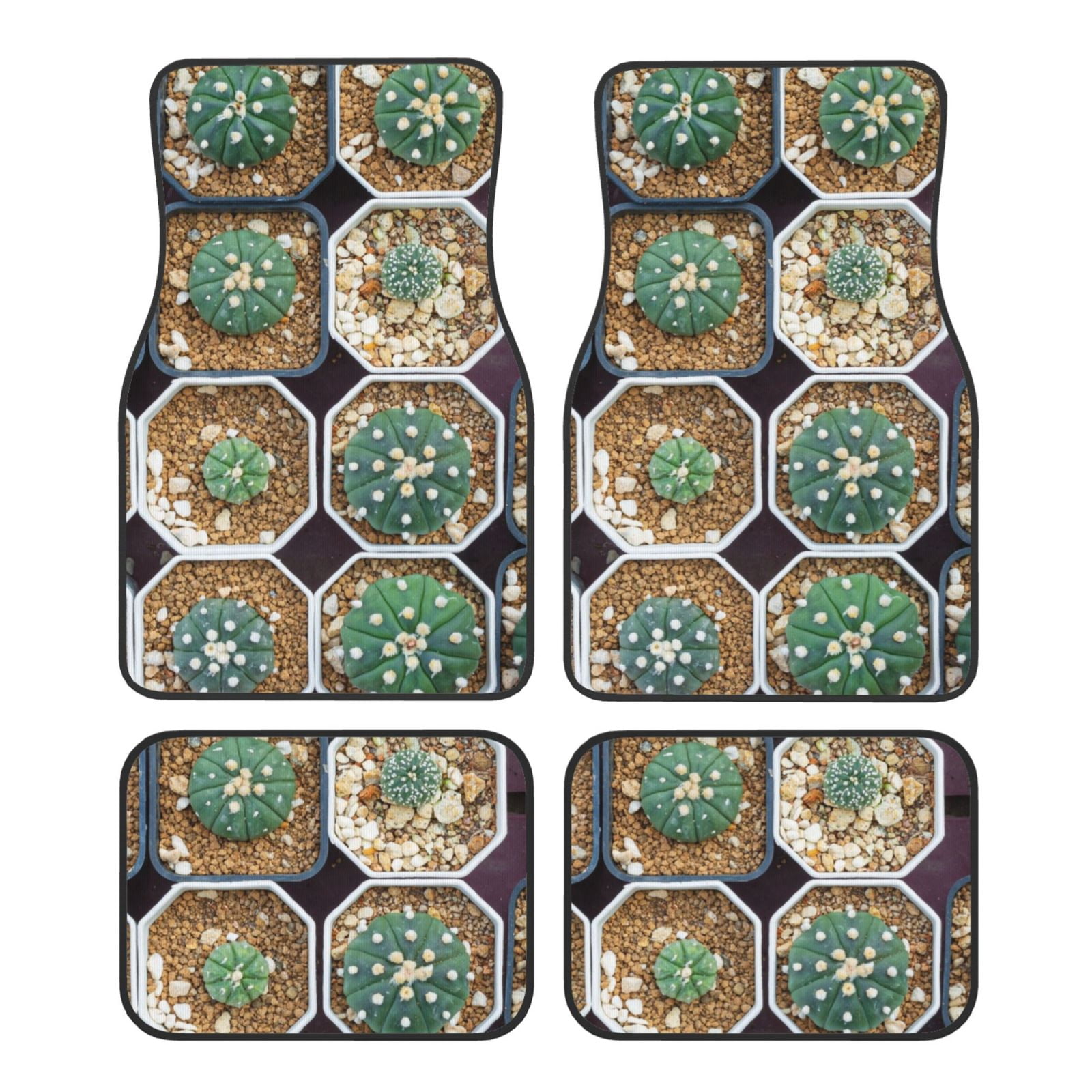 Noikeo Cactus Garden for 4Piece Floor Mats, Custom Fit Car Mats All