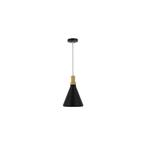 Noir Collection One Light Pendant