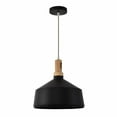 thumbnail image 1 of Noir Collection One Light Pendant, 1 of 5