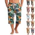 thumbnail image 1 of Nokdvo Mens Harem Capri Pants Drawstring Beach Hawaiian Capris Elastic Waist Wide Leg 3/4 Shorts with Pockets Breathable Loose Fit Athletic Casual Tapered Trousers,Brown 2XL, 1 of 7