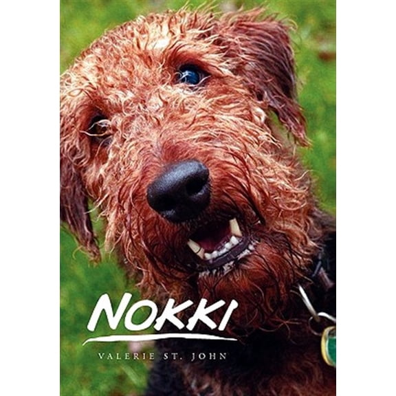 Nokki (Paperback)