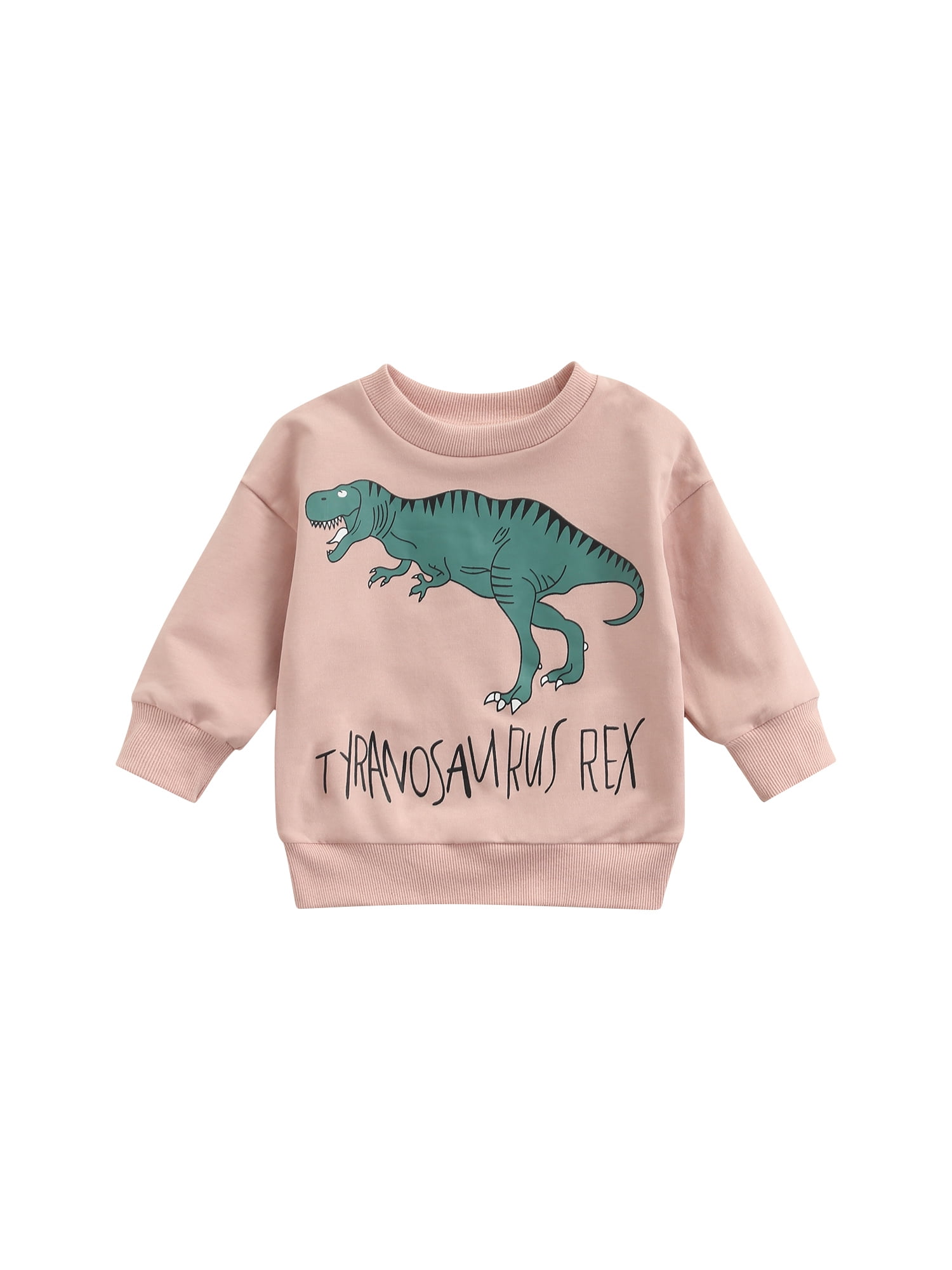 Nokpsedcb Lovely Toddler Little Girl Dinosaur Print Sweatshirt for Spring Autumn Kids Clothing Pink 2 3 Years