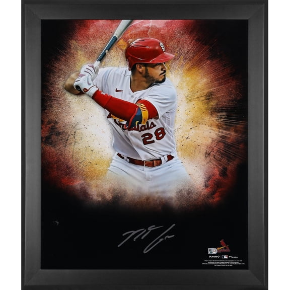 Nolan Arenado St. Louis Cardinals Framed Autographed 20" x 24" In Focus Photograph - Fanatics Authentic Certified