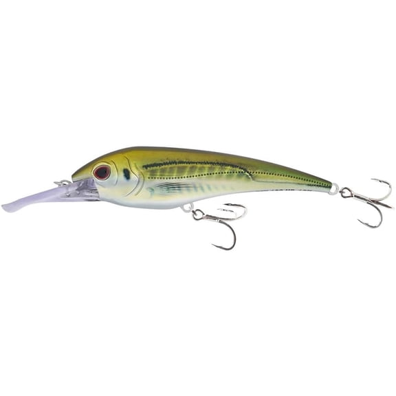 Nomad DTX Minnow Heavy Duty Shallow Floating 7", Olive Back Shad Lures