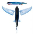thumbnail image 1 of Nomad Slipstream Flying Fish 200 Pack, 8" PHT - Phantom, 1 of 6