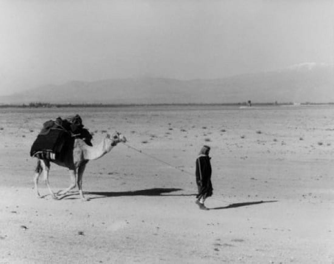 Nomad crossing desert Canvas Art - (24 x 36)
