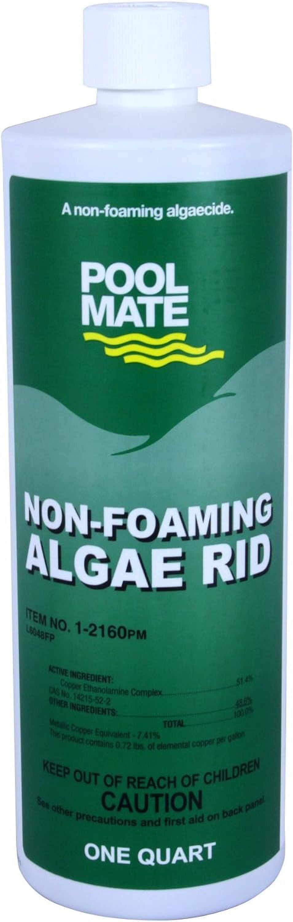 NonFoaming Algae Rid Swimming Pool Algaecide, 1Quart