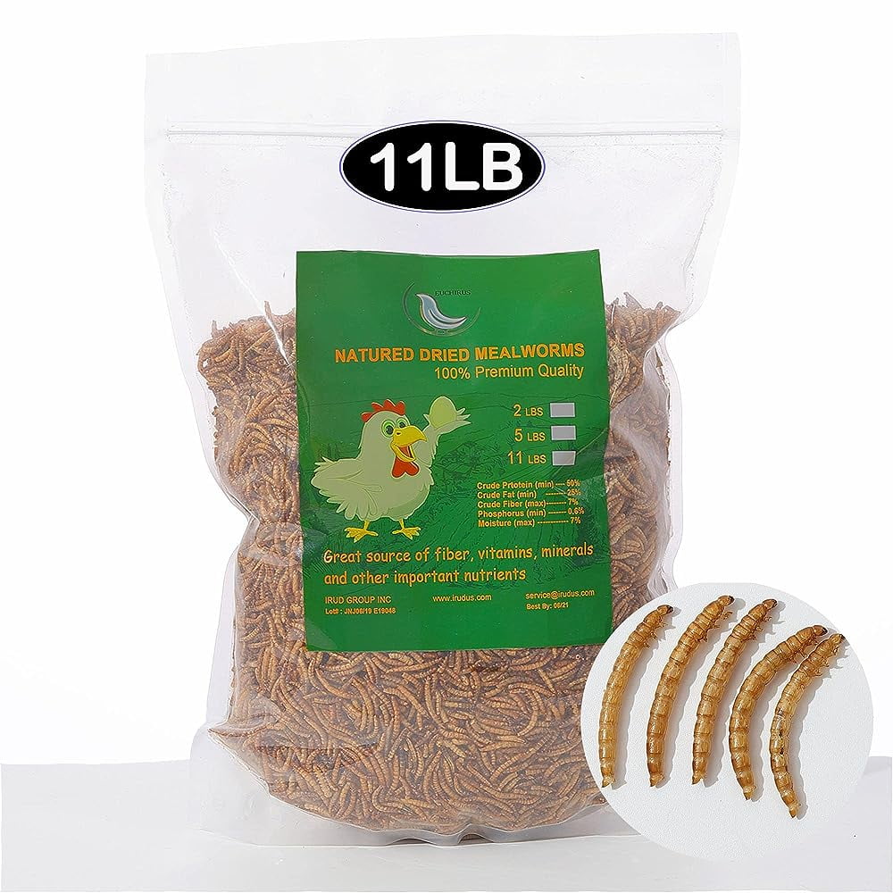 NonGMO Dried Mealworms For Wild Chicken Fish,HighProtein,Large Meal