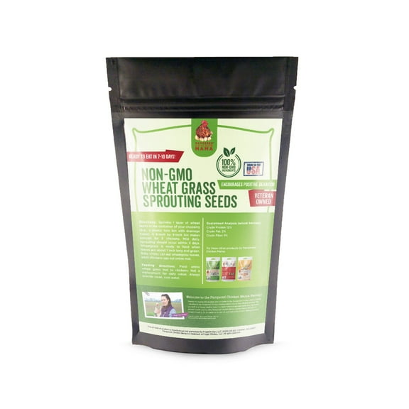 Non-GMO Wheat Seeds for Sprouting Fodder