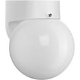 thumbnail image 1 of Non-Metallic Incandescent One-Light Outdoor Wall Lantern, 1 of 8