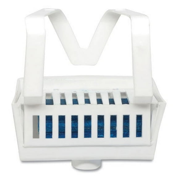 Non-Para Toilet Bowl Block, Lasts 30 Days, Evergreen Scent, White, 12/box | Bundle of 2 Boxes