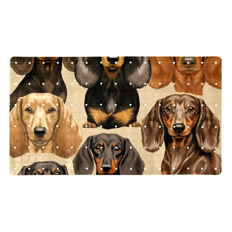 Dachshund Kid's Slip Ons Dachshund Kid's Slip Ons