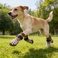 thumbnail image 1 of Non-Slip Dog Socks with Adjustable Straps, Waterproof Paw Protectors for Indoor Hardwood Floors Outdoor Walks, Breathable Anti-Slip Booties for Small Medium Large Dogs, Washable, 1 of 6
