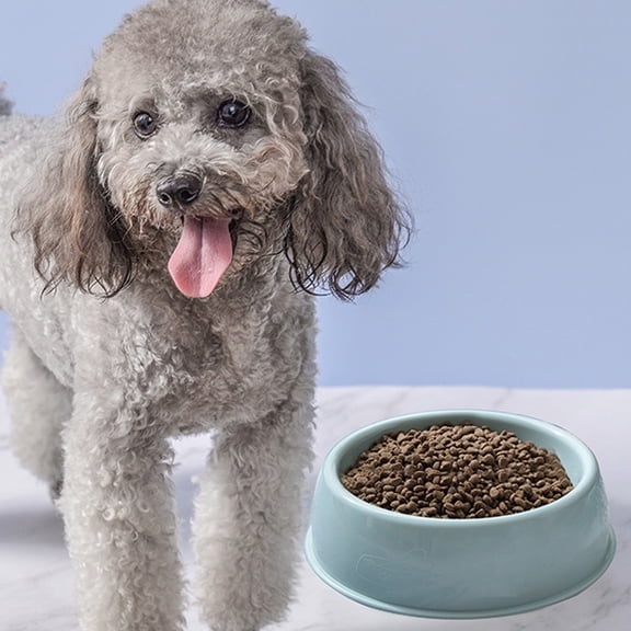 Non Slip Plastic Pet Food Bowl, Durable Feeder for Cats and Dogs – Smart Design, Home Use