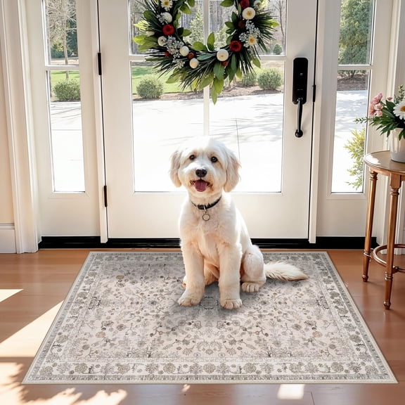 Non-Slip Washable Kitchen Rug – Boho Small Accent Rug for Sink & Entryway, Soft Low Pile Thin Carpet for Pet Area & Bathroom, Indoor Door Mat (Beige)