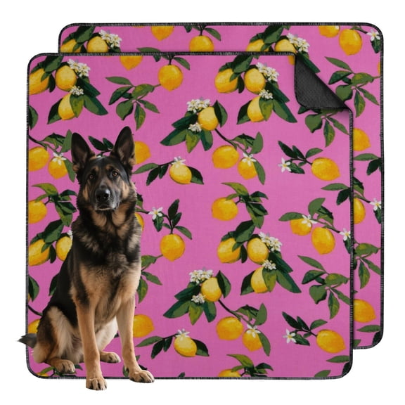 Non-Slip Washable Pet Pee Pads, Fruit Design Reusable Training Mat for Indoor Dog Relief Station Protection (Fruit patterns, 48"x48")