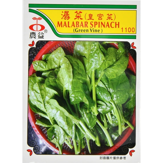 Nongyi Malabar Spinach Seeds