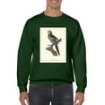 thumbnail image 1 of Nonpareil Parrakeet Sweatshirt Men -Sydenham Edwards Designs, Male Medium, 1 of 4