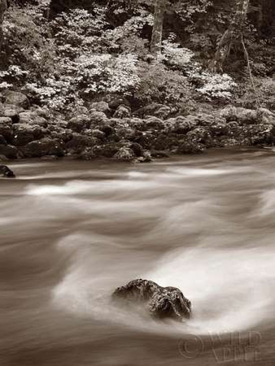 Nooksack River North Cascades Canvas Art - Alan Majchrowicz (18 x 24)