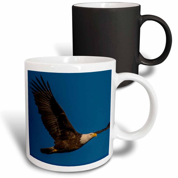 3drose, Nooksack River, Washington State,usa. Bald Eagle in Flight., 11oz Magic Transforming Mug