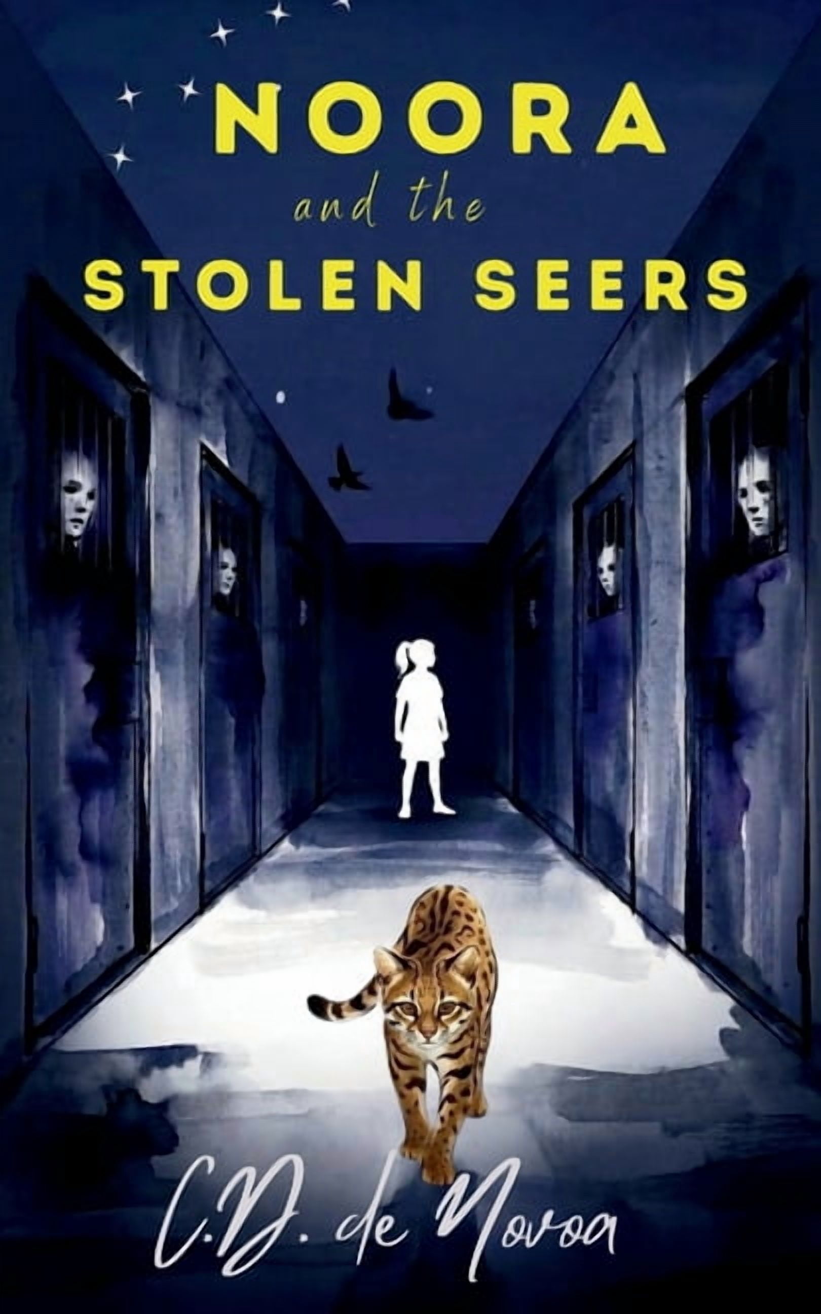 Noora and the Seers Noora and the Stolen Seers, Book 2, (Paperback)
