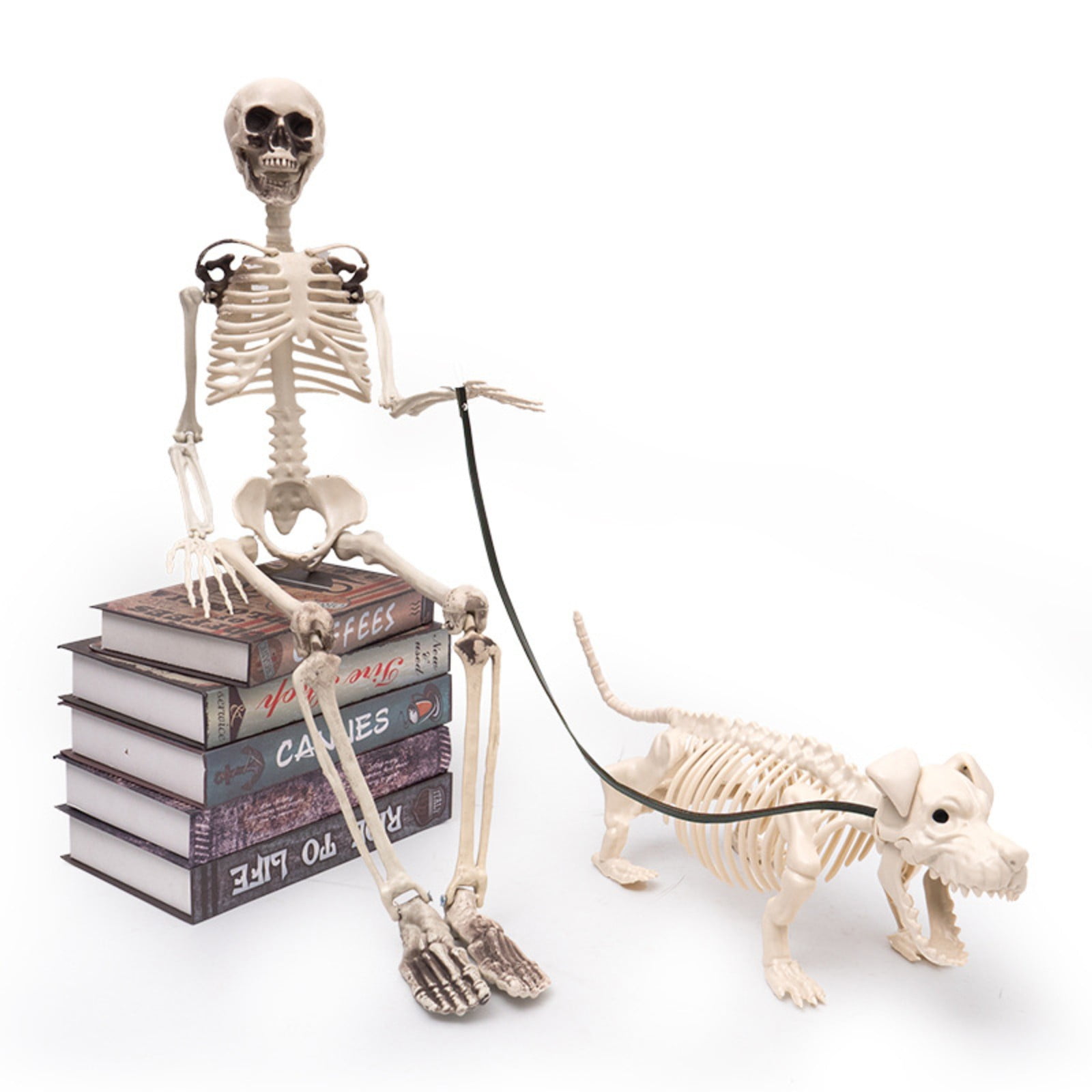 Realistic Human Skull Decor - Life-Size Resin Skull With Removable Jaw For Halloween & Display