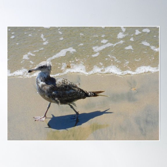 Nope. Too Cold Poster Wall Art, Modern Wall Decor For Living Room Bedroom, 24x36 UNFRAMED