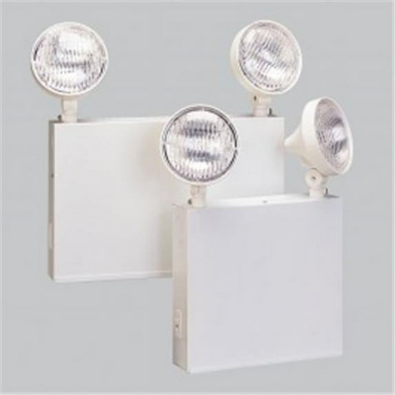 Nora Lighting NEBU-100-2H 100W Emergency Battery Unit With Emergency Heads, 12V Battery