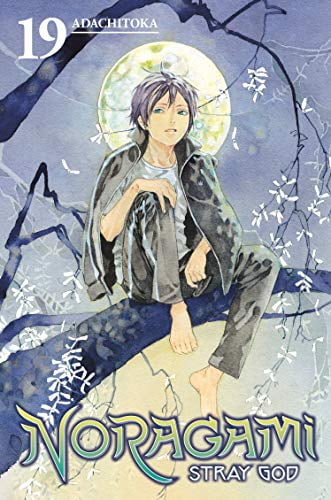Pre-Owned Noragami: Stray God 19 (Paperback) 1632364395 9781632364395