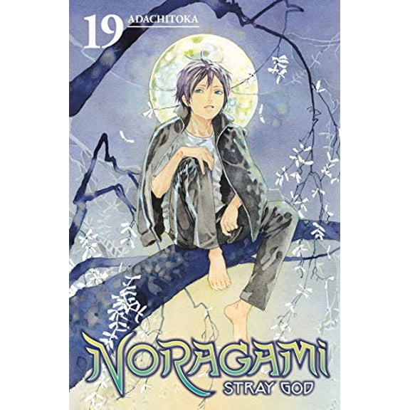 Pre-Owned Noragami: Stray God 19 (Paperback) 1632364395 9781632364395