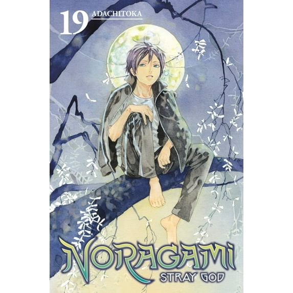 Noragami: Stray God Noragami: Stray God 19, Book 19, (Paperback)