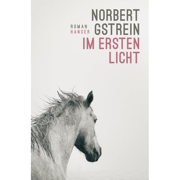 Gstrein, N Im ersten Licht: Roman (Paperback)