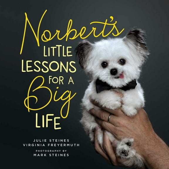 Norbert's Little Lessons for a Big Life (Paperback)