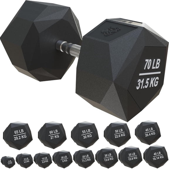Nordic Lifting 10 lb Prism Dumbbell – Rubber Encased Cast Iron Strength Training Equipment for Home & Gym
