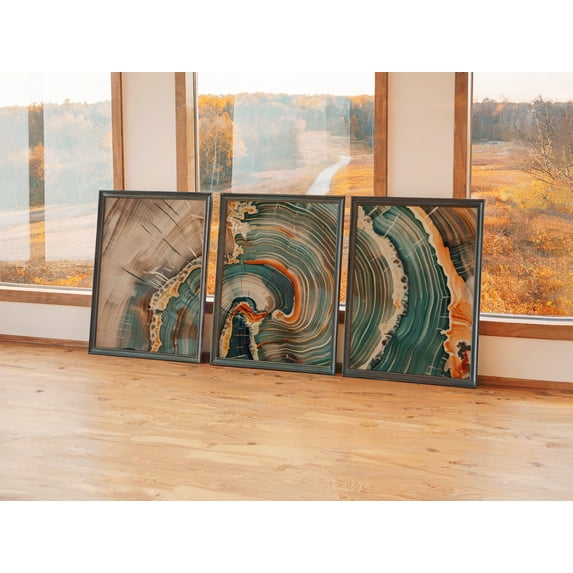 Nordic Tree Ring New Gallery Nature Wood Grain Nordic Poster, Set 3 ...