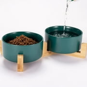 Nordmiex Ceramic Dog Bowl Set Dog Food and Water Bowls with Stand 28.74oz/850ml, Green