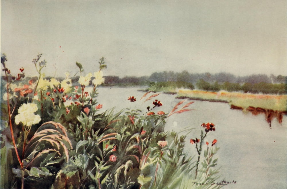 Norfolk Broads 1906 A Bure Bank Canvas Art - Frank Southgate (24 x 36)
