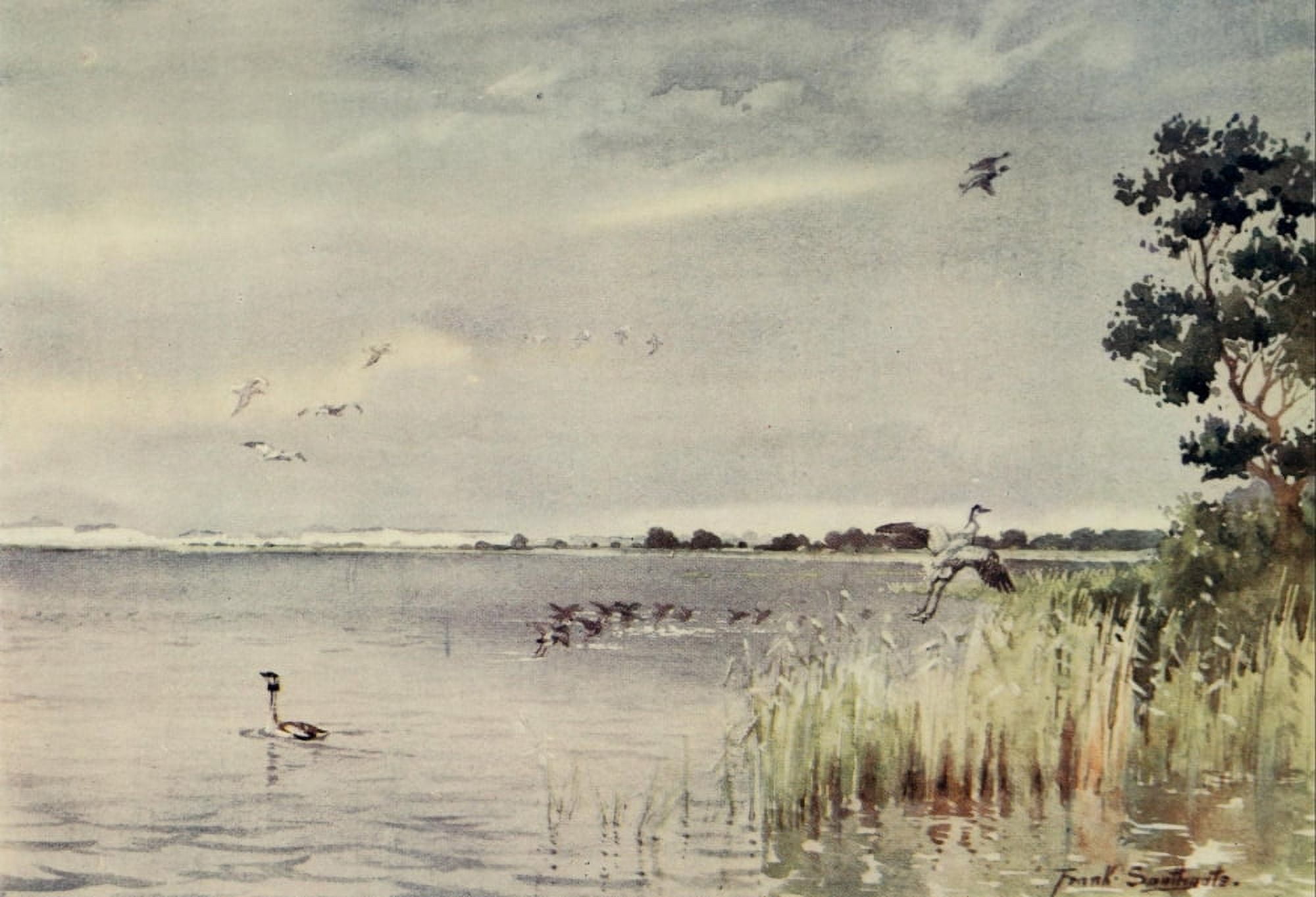Norfolk Broads 1906 Horsey Mere Canvas Art - Frank Southgate (18 x 24)
