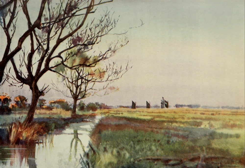 Norfolk Broads 1906 Marshland near Barton Canvas Art - Frank Southgate (24 x 36)